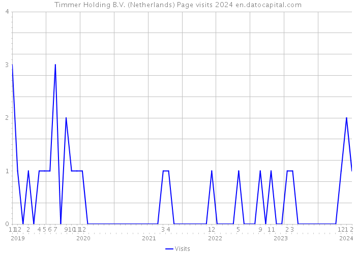 Timmer Holding B.V. (Netherlands) Page visits 2024 