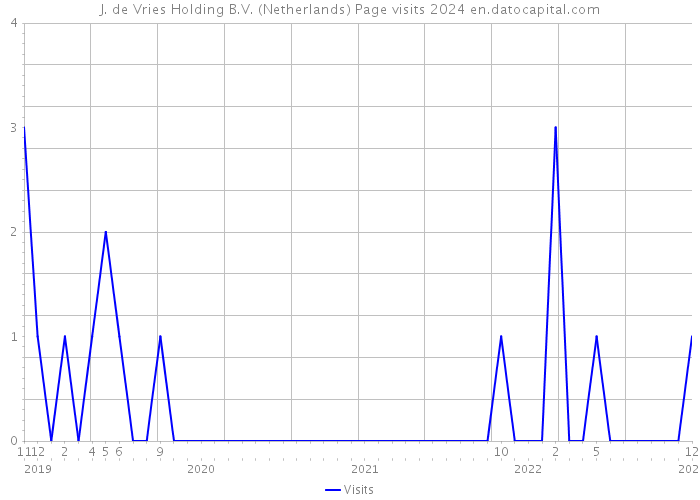 J. de Vries Holding B.V. (Netherlands) Page visits 2024 