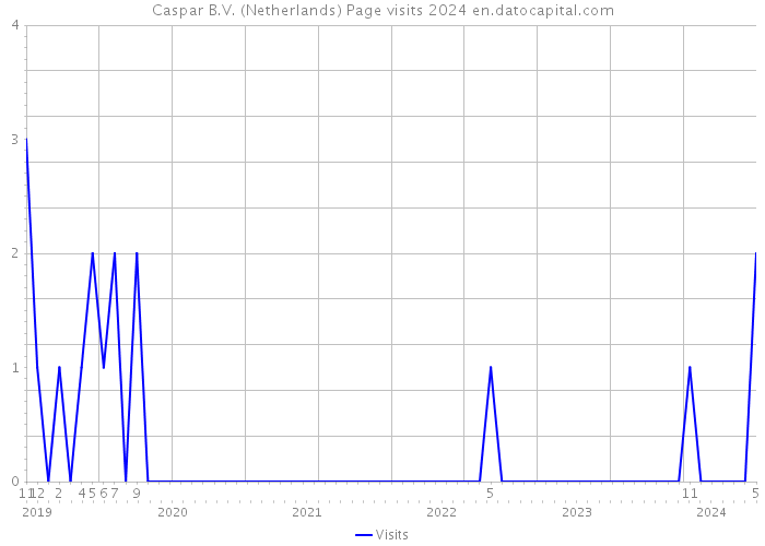 Caspar B.V. (Netherlands) Page visits 2024 