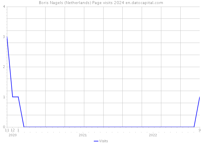 Boris Nagels (Netherlands) Page visits 2024 