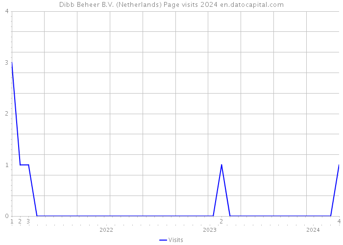 Dibb Beheer B.V. (Netherlands) Page visits 2024 