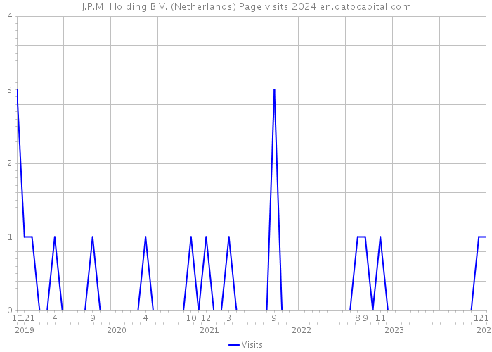 J.P.M. Holding B.V. (Netherlands) Page visits 2024 