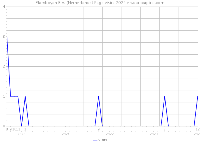 Flamboyan B.V. (Netherlands) Page visits 2024 