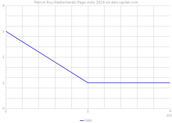 Patrick Roy (Netherlands) Page visits 2024 