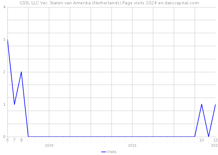 GSSI, LLC Ver. Staten van Amerika (Netherlands) Page visits 2024 
