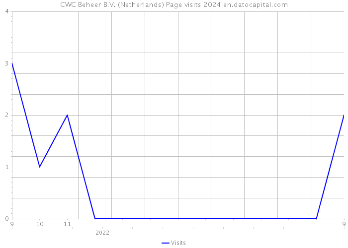 CWC Beheer B.V. (Netherlands) Page visits 2024 