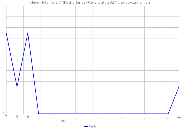 Kleyn Holding B.V. (Netherlands) Page visits 2024 