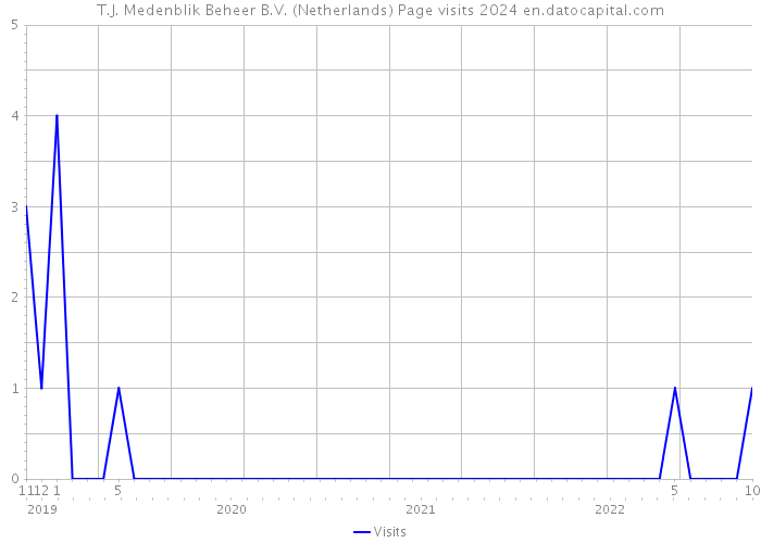T.J. Medenblik Beheer B.V. (Netherlands) Page visits 2024 
