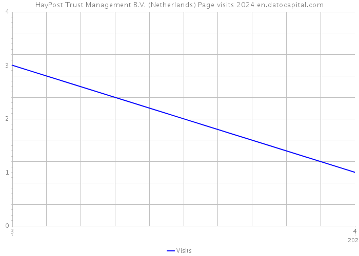 HayPost Trust Management B.V. (Netherlands) Page visits 2024 