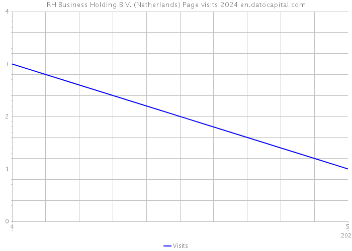 RH Business Holding B.V. (Netherlands) Page visits 2024 
