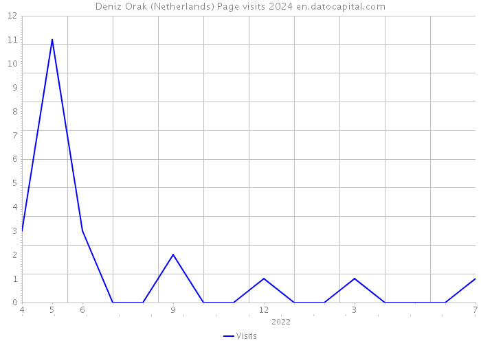 Deniz Orak (Netherlands) Page visits 2024 
