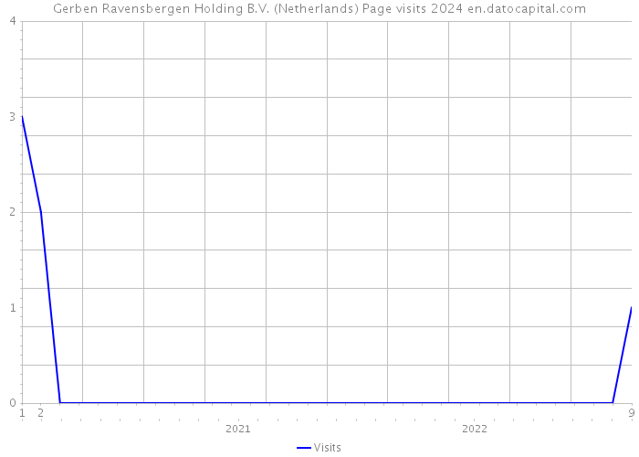 Gerben Ravensbergen Holding B.V. (Netherlands) Page visits 2024 