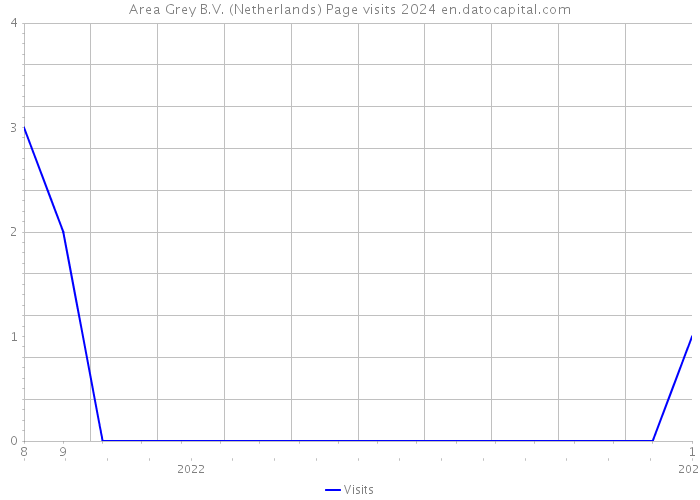 Area Grey B.V. (Netherlands) Page visits 2024 