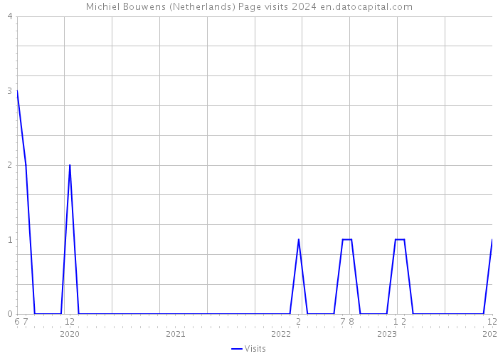 Michiel Bouwens (Netherlands) Page visits 2024 