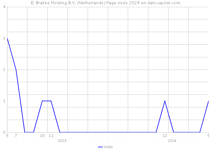 E. Brakke Holding B.V. (Netherlands) Page visits 2024 