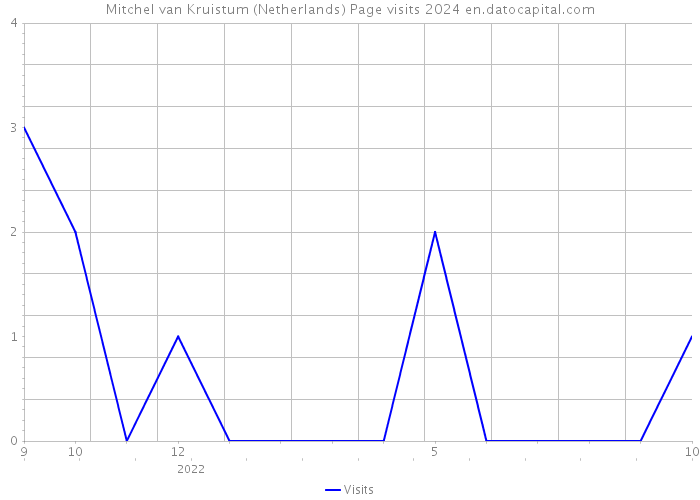 Mitchel van Kruistum (Netherlands) Page visits 2024 