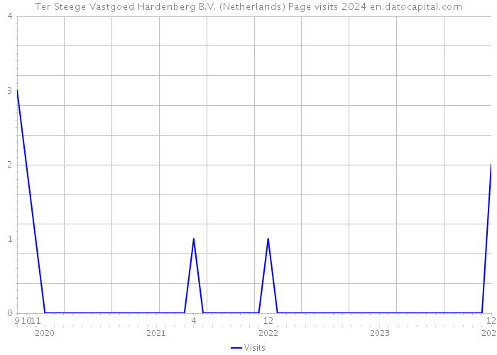 Ter Steege Vastgoed Hardenberg B.V. (Netherlands) Page visits 2024 