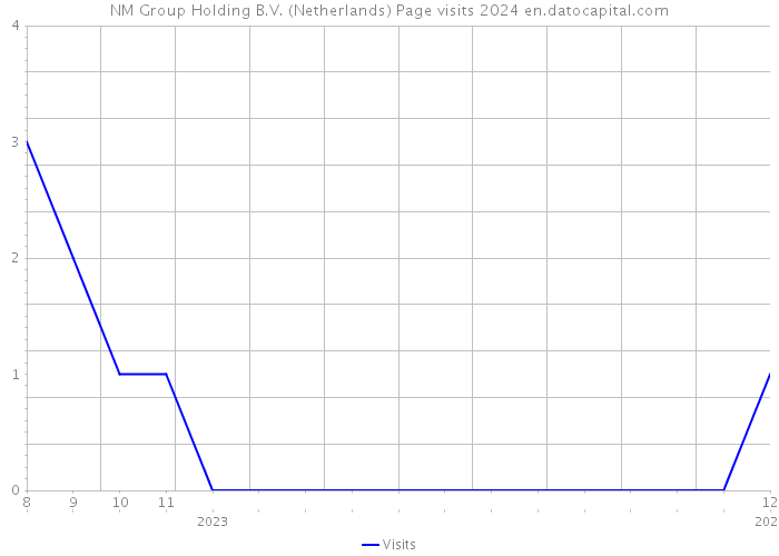 NM Group Holding B.V. (Netherlands) Page visits 2024 