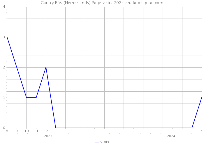 Gantry B.V. (Netherlands) Page visits 2024 
