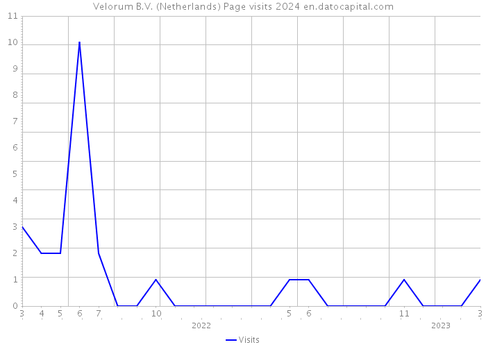 Velorum B.V. (Netherlands) Page visits 2024 