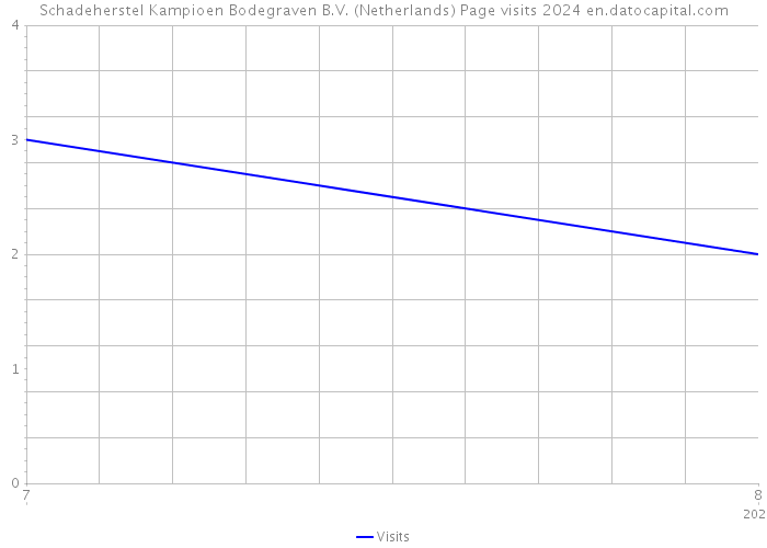 Schadeherstel Kampioen Bodegraven B.V. (Netherlands) Page visits 2024 