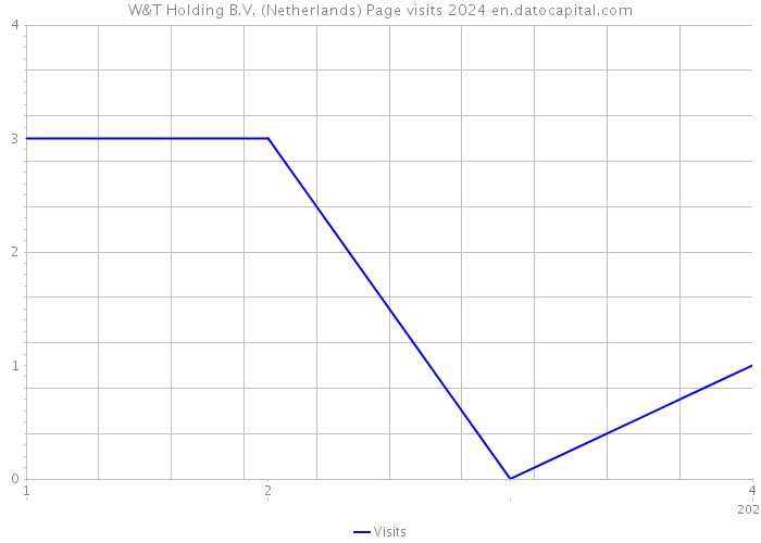 W&T Holding B.V. (Netherlands) Page visits 2024 