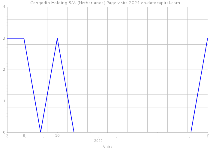 Gangadin Holding B.V. (Netherlands) Page visits 2024 