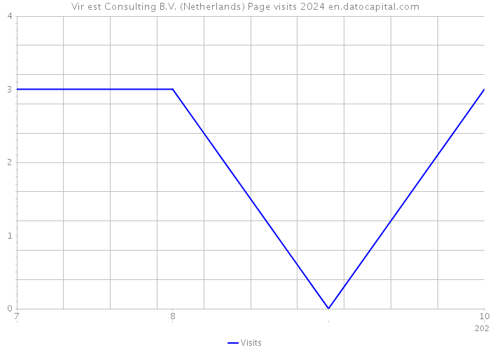 Vir est Consulting B.V. (Netherlands) Page visits 2024 