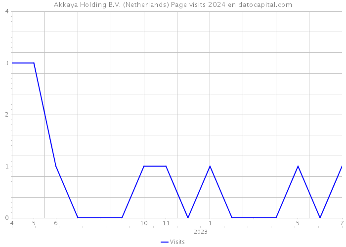 Akkaya Holding B.V. (Netherlands) Page visits 2024 
