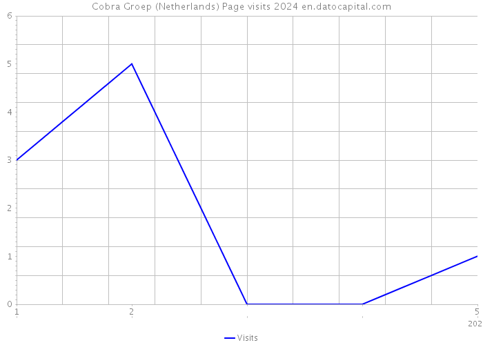 Cobra Groep (Netherlands) Page visits 2024 