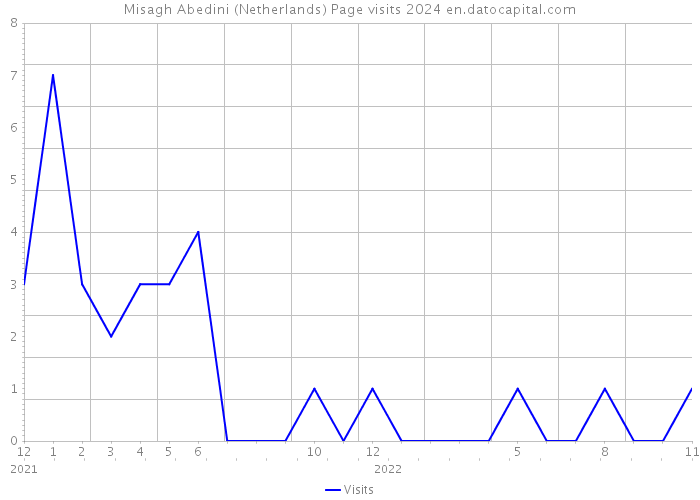 Misagh Abedini (Netherlands) Page visits 2024 
