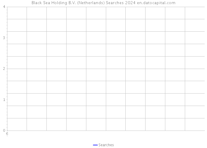 Black Sea Holding B.V. (Netherlands) Searches 2024 