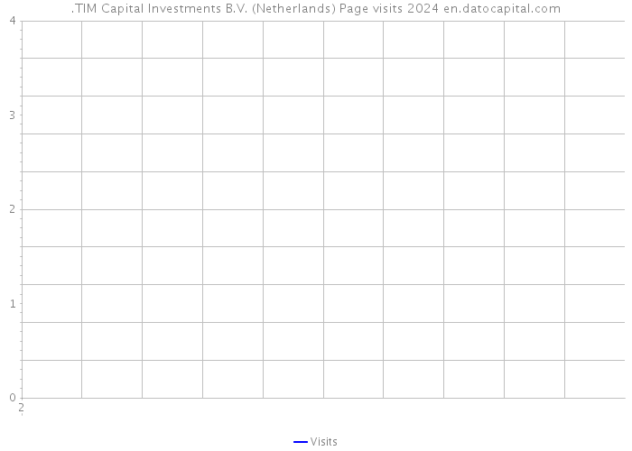 .TIM Capital Investments B.V. (Netherlands) Page visits 2024 