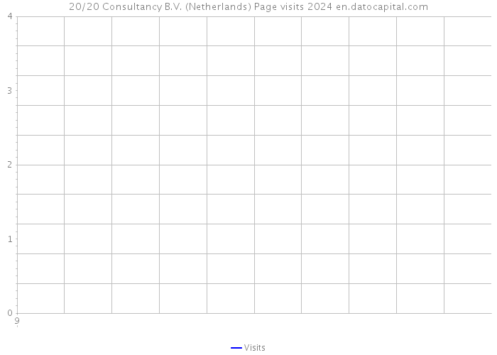 20/20 Consultancy B.V. (Netherlands) Page visits 2024 