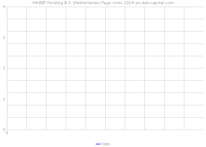 HA&EF Holding B.V. (Netherlands) Page visits 2024 