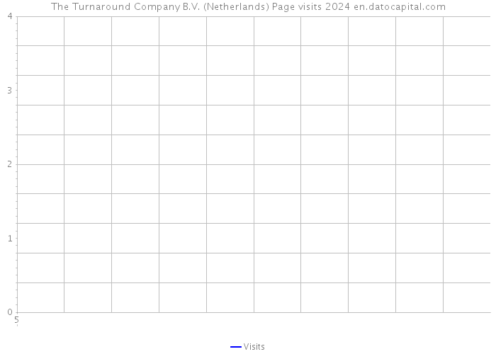 The Turnaround Company B.V. (Netherlands) Page visits 2024 