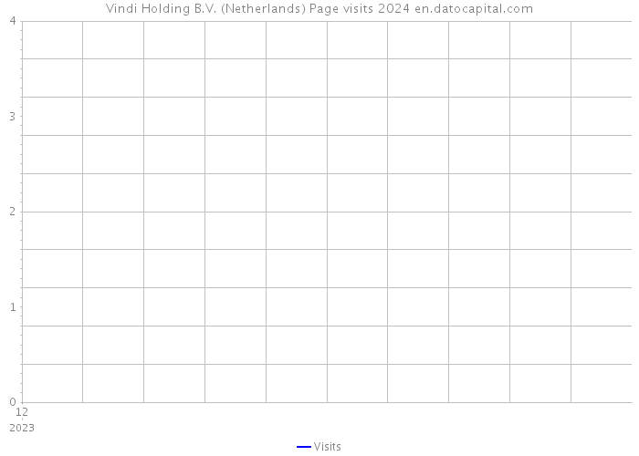 Vindi Holding B.V. (Netherlands) Page visits 2024 