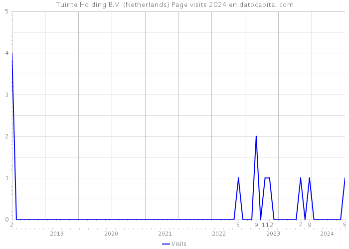 Tuinte Holding B.V. (Netherlands) Page visits 2024 