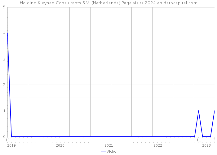 Holding Kleynen Consultants B.V. (Netherlands) Page visits 2024 