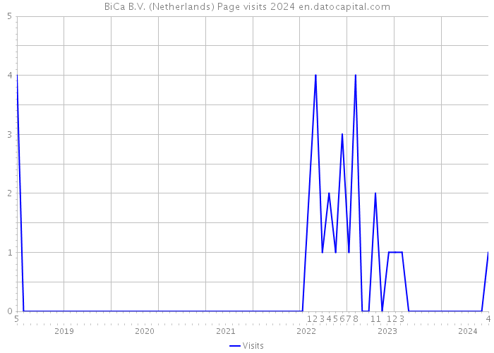 BiCa B.V. (Netherlands) Page visits 2024 