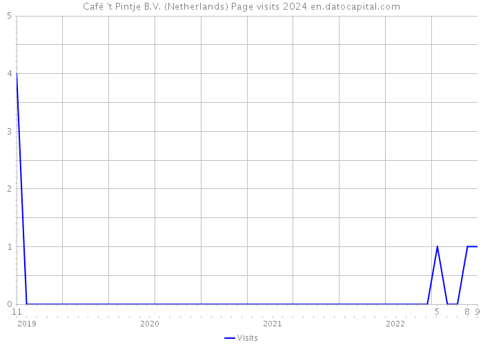 Café 't Pintje B.V. (Netherlands) Page visits 2024 