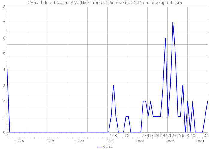 Consolidated Assets B.V. (Netherlands) Page visits 2024 