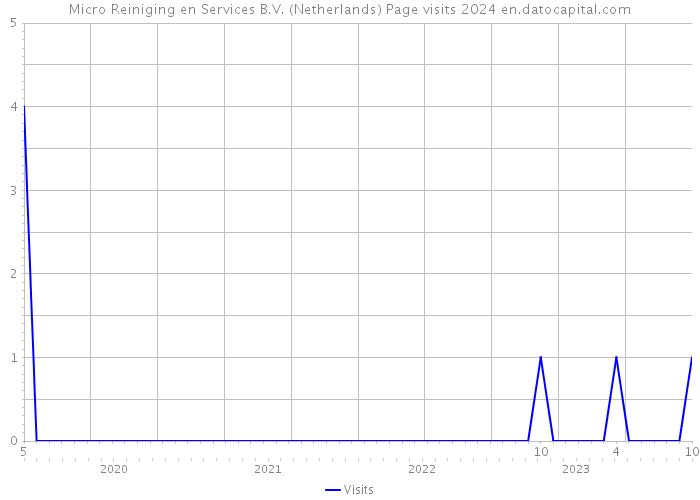 Micro Reiniging en Services B.V. (Netherlands) Page visits 2024 