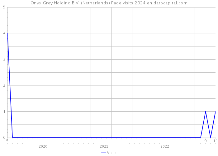 Onyx Grey Holding B.V. (Netherlands) Page visits 2024 