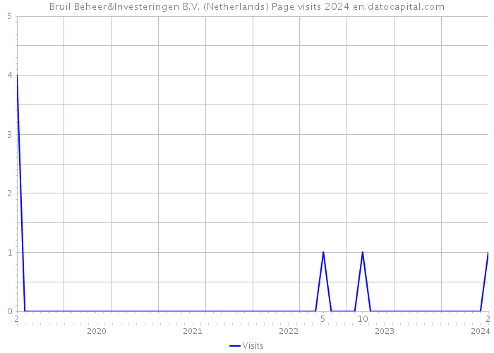 Bruil Beheer&Investeringen B.V. (Netherlands) Page visits 2024 