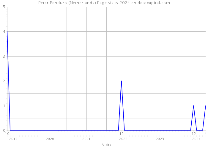 Peter Panduro (Netherlands) Page visits 2024 