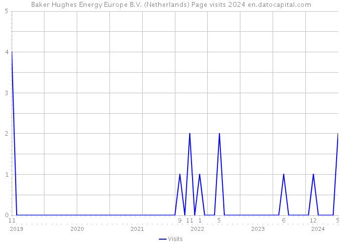 Baker Hughes Energy Europe B.V. (Netherlands) Page visits 2024 
