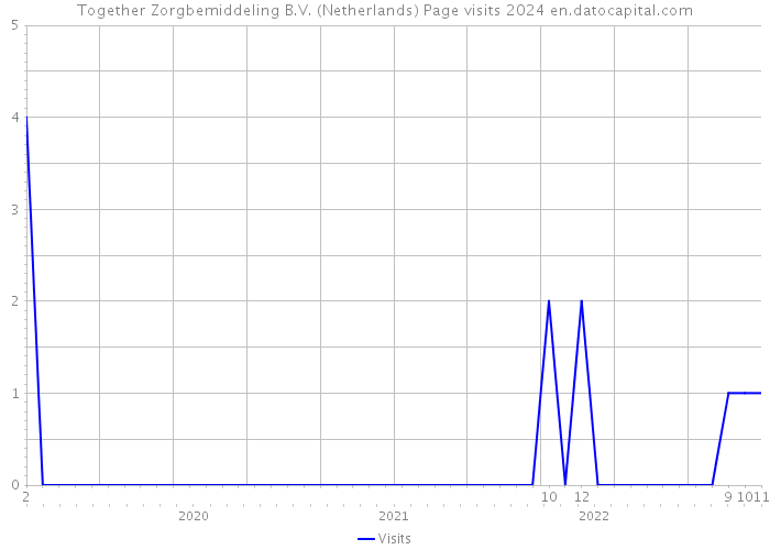 Together Zorgbemiddeling B.V. (Netherlands) Page visits 2024 