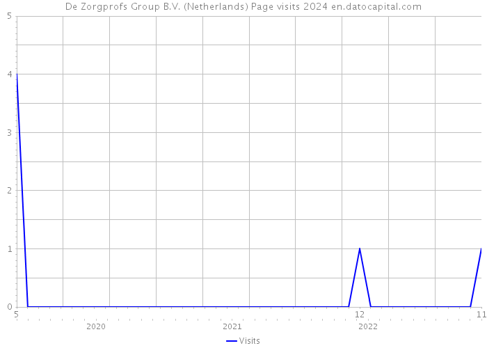 De Zorgprofs Group B.V. (Netherlands) Page visits 2024 