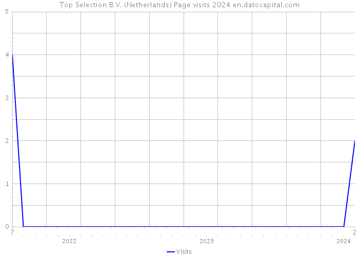 Top Selection B.V. (Netherlands) Page visits 2024 